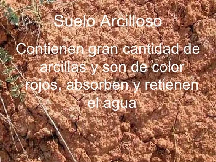 el-suelo-como-recurso-natural- ...