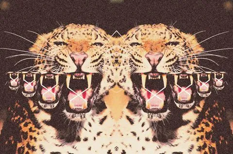 ÉL TIGRE | HIPSTER BACKGROUND TUMBLR | Pinterest ÉL TIGRE | HIPSTER BACKGROUND TUMBLR | Pinterest