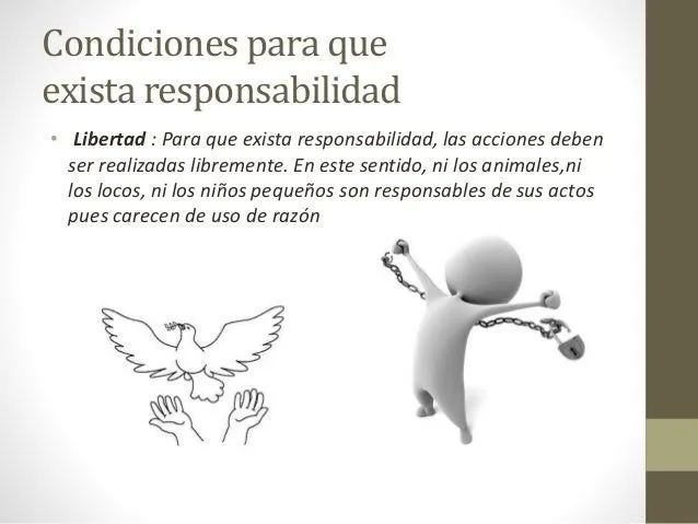 el-valor-de-la-responsabilidad ...