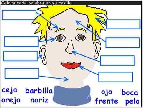 cara.img5.JPG