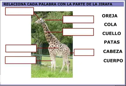 Elaboración de la aplicación didáctica