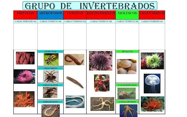elblog1213quintob.blogspot.com