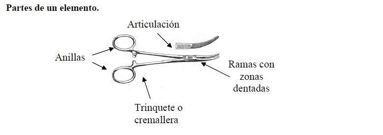 La elección y cuidado del instrumental para médicos veterinarios ... La elección y cuidado del instrumental para médicos veterinarios ...