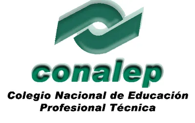 ELECTRONIC PAGINA CONALEP PUEBLA III