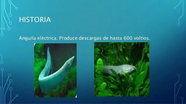 electroterapia-de-baja- ...
