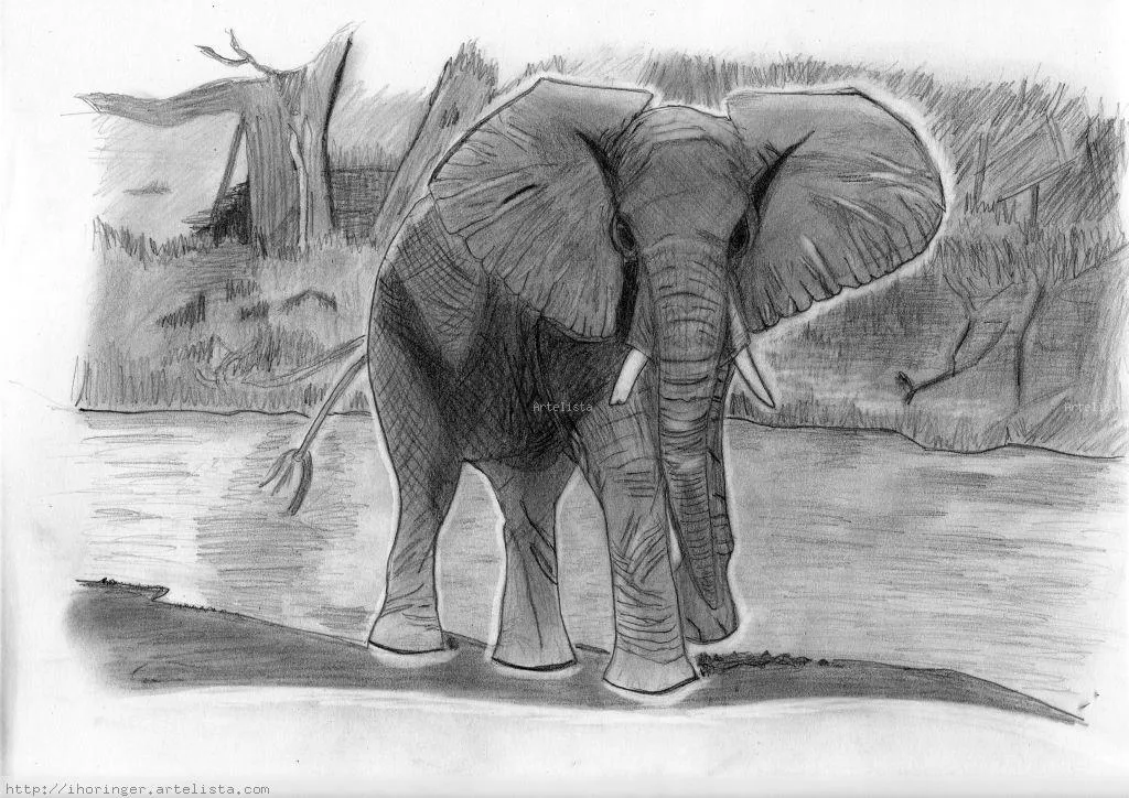 Elefante africano Inma Horinger - Artelista. Elefante africano Inma Horinger - Artelista.