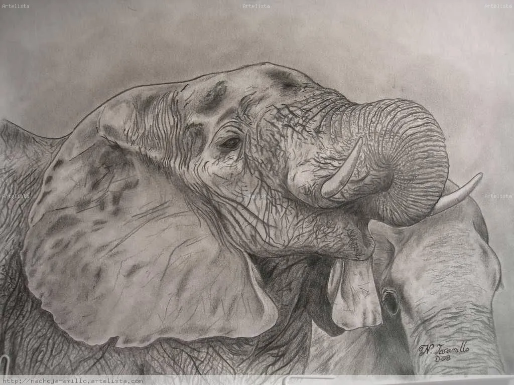 Elefante Ignacio Jaramillo Villar - Artelista. Elefante Ignacio Jaramillo Villar - Artelista.