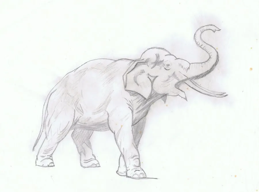 elefante a lapiz by femfoyou on DeviantArt
