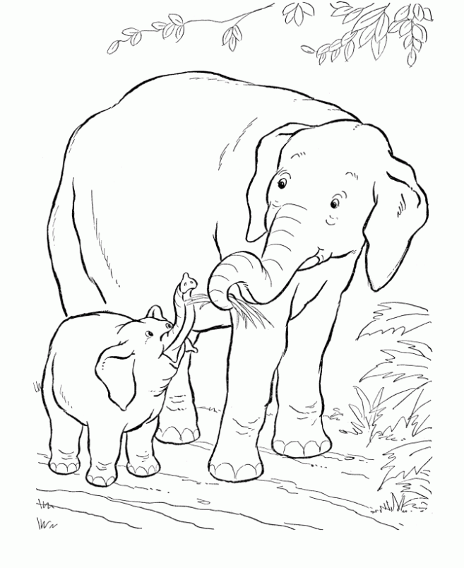 Dibujo de Elefante con su pequeño para colorear. Dibujos ... Dibujo de Elefante con su pequeño para colorear. Dibujos ...