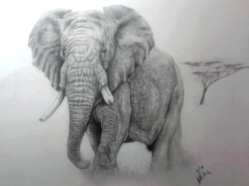 Elefante | Pinturas al óleo
