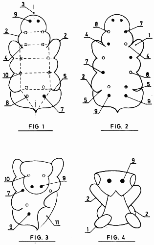 Elemento-soporte para la construccion de figuras tridimensionales ... Elemento-soporte para la construccion de figuras tridimensionales ...