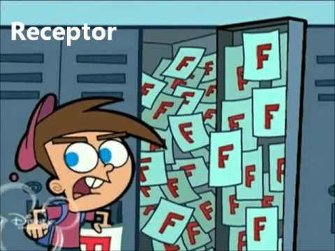 elementos de la comunicación GAC 2 - YouTube elementos de la comunicación GAC 2 - YouTube
