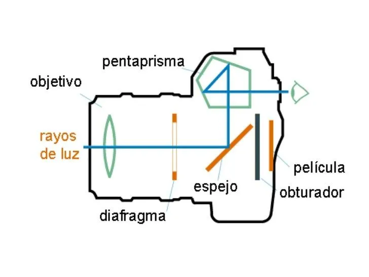 elementos-de-la-camara- ...