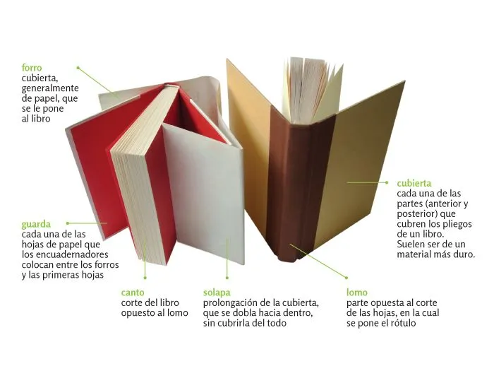 Elementos de un libro | OERT