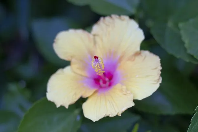 Elena | Flickr - Photo Sharing!