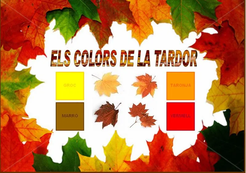 ELS COLORS D'INFANTIL.