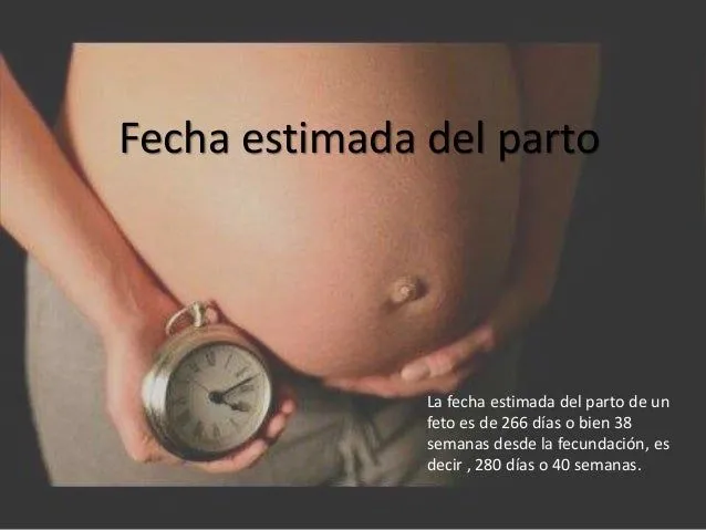 embarazo-10-638.jpg?cb=1414151105