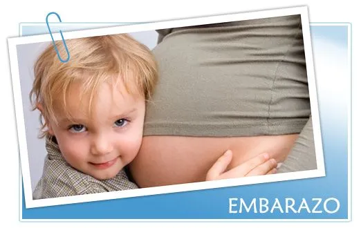 Embarazo mes a mes. Embarazo semana a semana. Guía del embarazo.