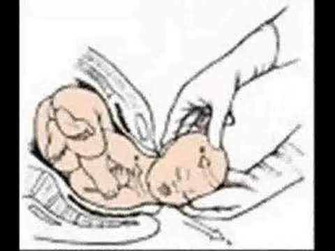 El Embarazo: Multimedia educativo para Preescolar - YouTube