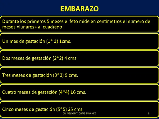 Embarazo y recien nacido prematuro - Monografias.com