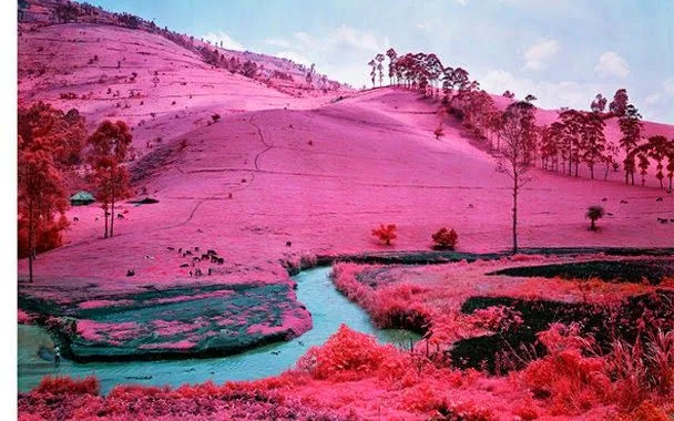 EL EMBRUJO DE GAIA: NIEVE ROSA