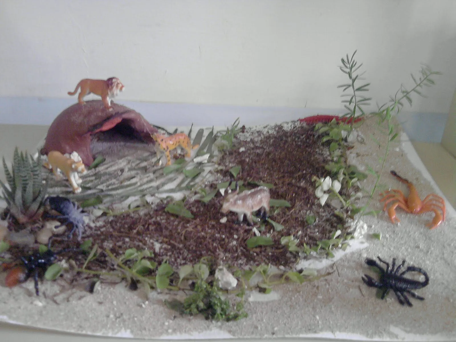 Somos Emeritense: Exposición de las regiones naturales. Somos Emeritense: Exposición de las regiones naturales.