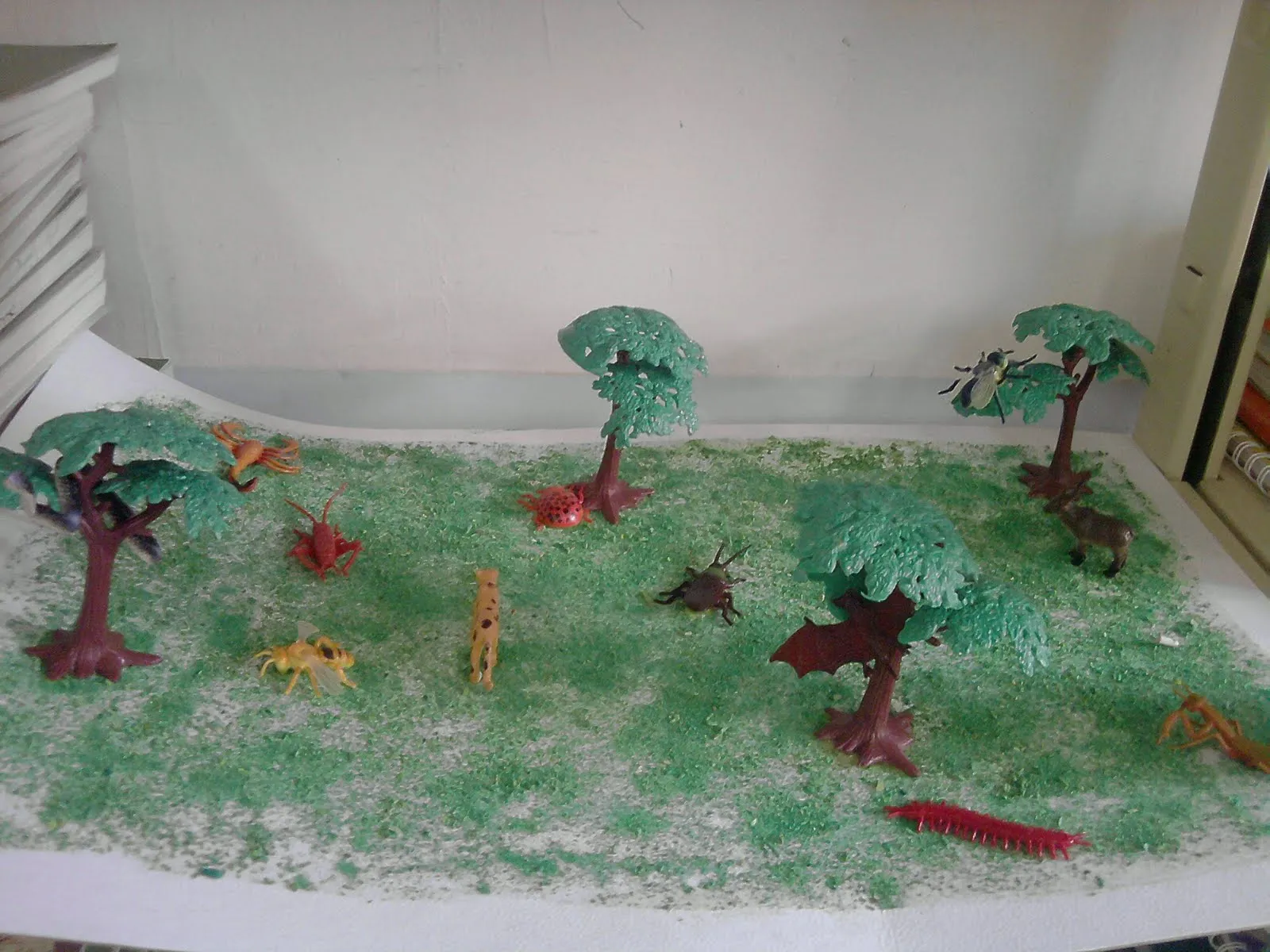 Somos Emeritense: Exposición de las regiones naturales. Somos Emeritense: Exposición de las regiones naturales.