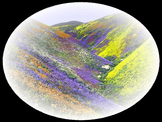 Emilieta psp: Misted de paisajes en formato PNG Emilieta psp: Misted de paisajes en formato PNG