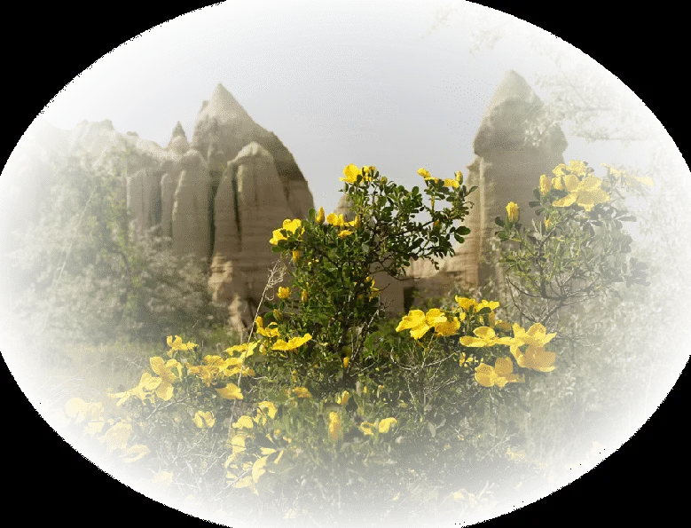 Emilieta psp: Misted paisajes en PNG- Click botón derecho del ... Emilieta psp: Misted paisajes en PNG- Click botón derecho del ...