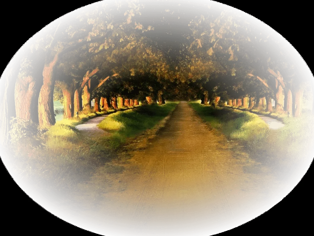 Emilieta psp: Tubes misted de paisajes en PNG Emilieta psp: Tubes misted de paisajes en PNG