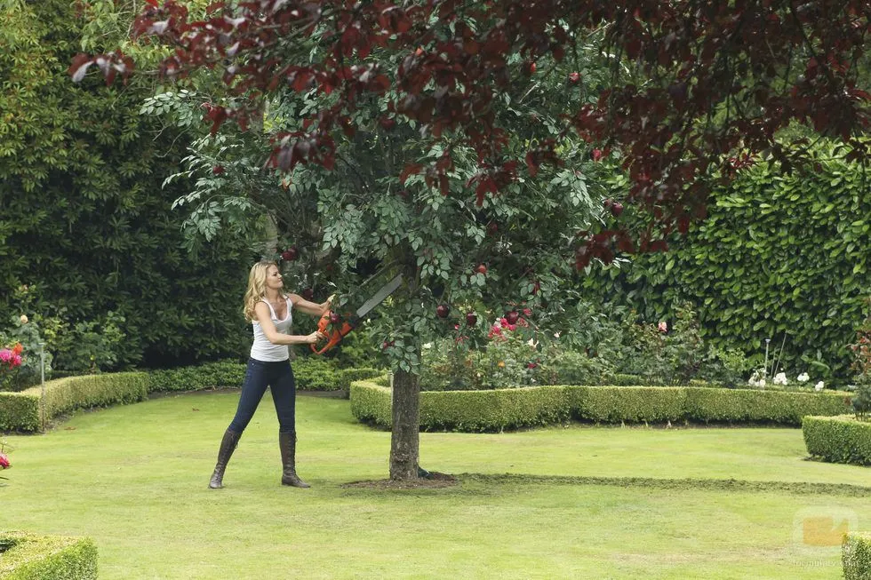 Emma tala el árbol de las manzanas de Regina en 'Once Upon a Time ... Emma tala el árbol de las manzanas de Regina en 'Once Upon a Time ...