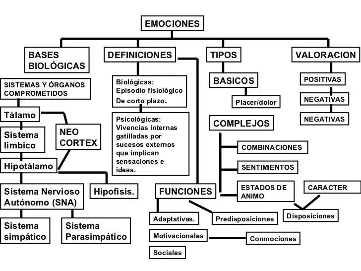 emociones-definiciones-y-tipos ...