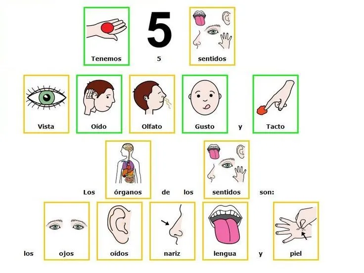 Proyectos que intentar on Pinterest | Historia, Elementary Science ... Proyectos que intentar on Pinterest | Historia, Elementary Science ...