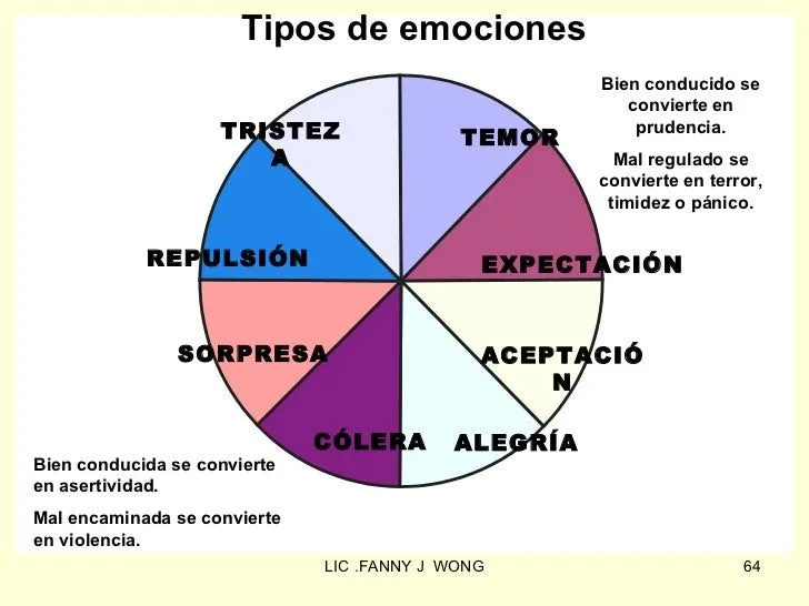 EMOCIONES Y SENTIMIENTOS- FANNY JEM WONG