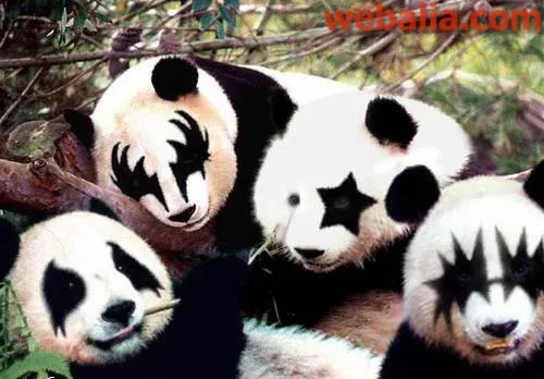 Emos´ y ´punketos´ cara a cara - Taringa!