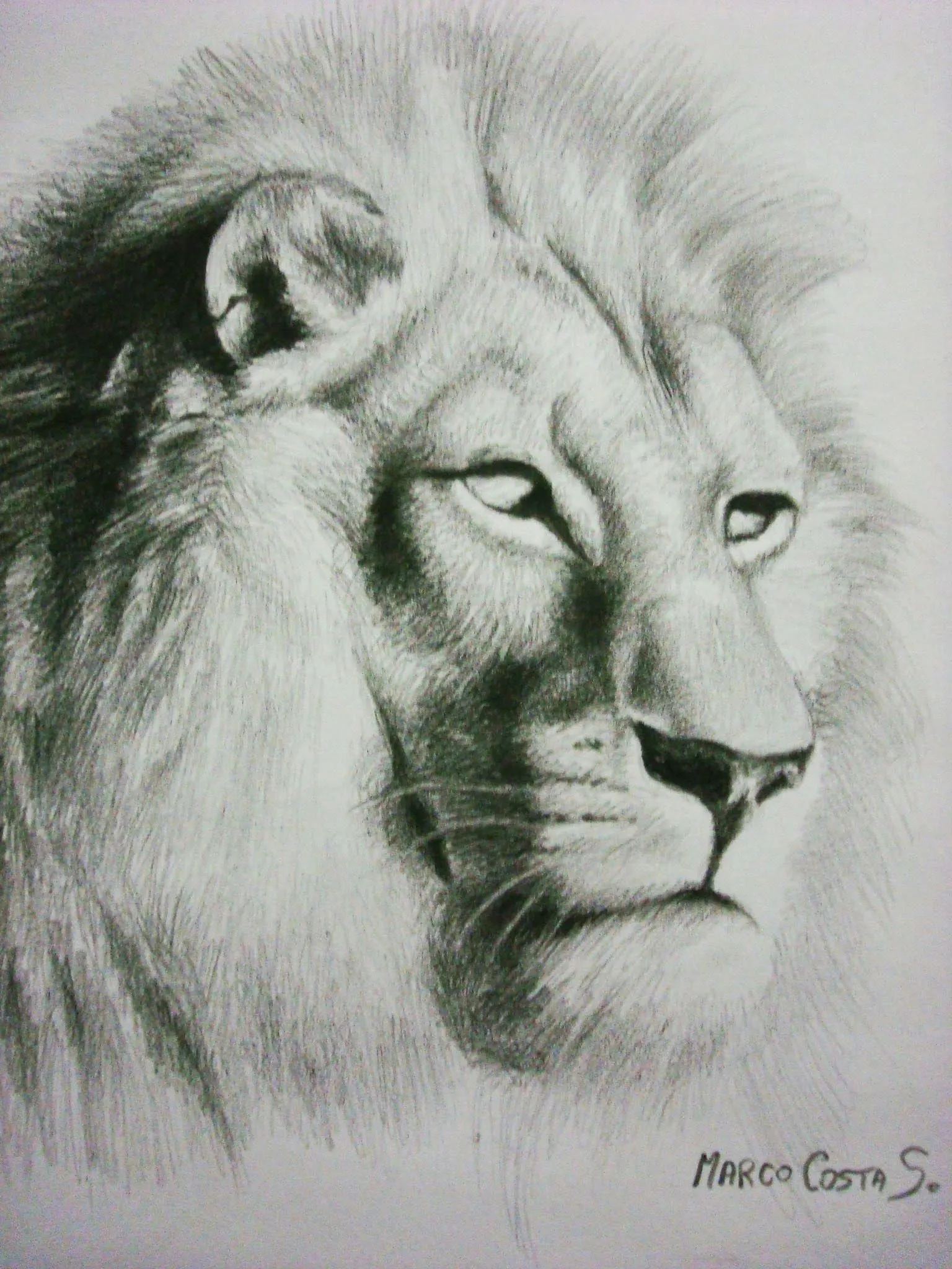 Empezando la semana como el rugir del Leon con fuerza estos ... Empezando la semana como el rugir del Leon con fuerza estos ...