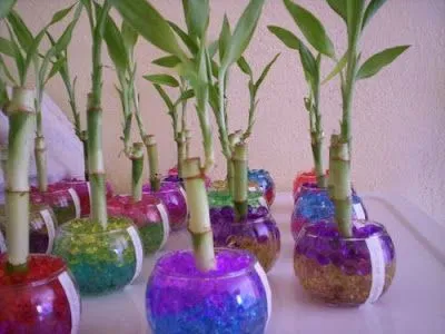 Donde Empiezan las mejores Fiestas!: Souvenirs