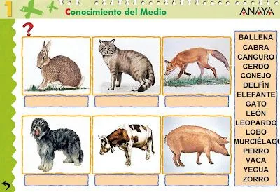 Empiezo a aprender: Animales mamíferos