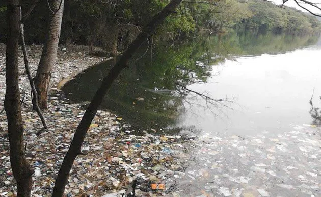 Grandes empresas siguen contaminando más el medio ambiente