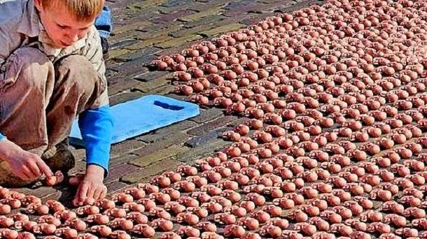 Empresas utilizan celulas de bebes abortados para saborizar Empresas utilizan celulas de bebes abortados para saborizar