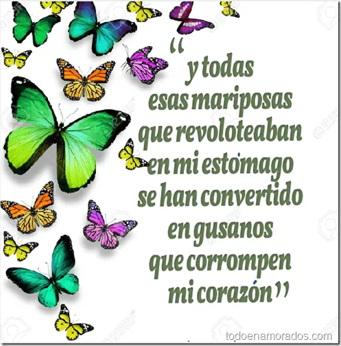 Todo enamorados: Frases con imágenes mariposas en el estómago Todo enamorados: Frases con imágenes mariposas en el estómago