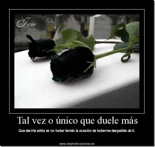 Todo enamorados: frases de despedidas