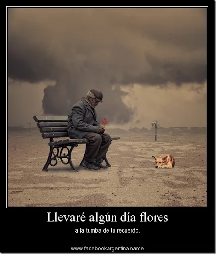 Todo enamorados: Imágenes con frases de desamor y olvido Todo enamorados: Imágenes con frases de desamor y olvido