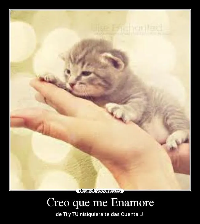 Creo que me Enamore | Desmotivaciones Creo que me Enamore | Desmotivaciones