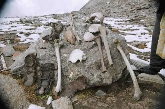 Encontradas en Ucrania pruebas de la existencia de unicornios