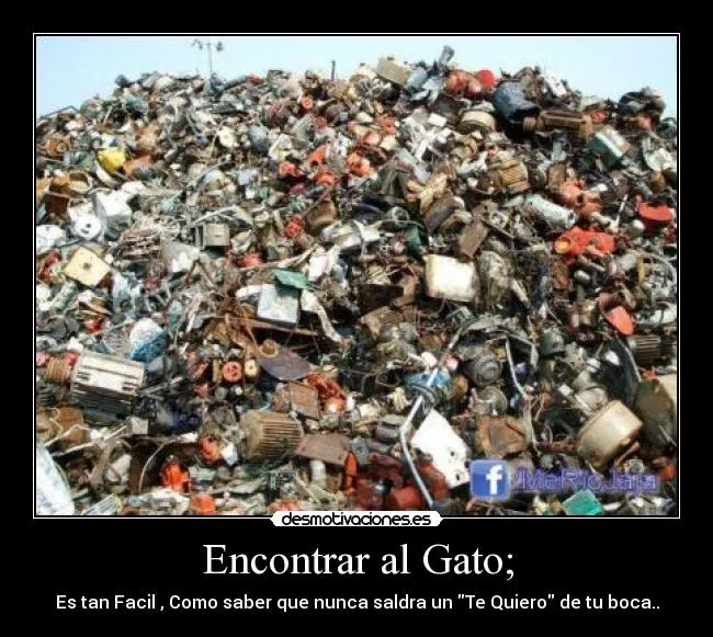 Encontrar al Gato; | Desmotivaciones