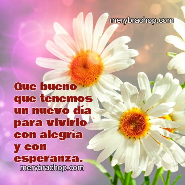 Encuentros de Amistad y Ternura - Yahoo Grupos Encuentros de Amistad y Ternura - Yahoo Grupos