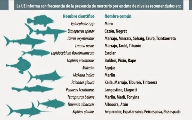 ENDOMETRIOSIS Y TOXICOS - ENDOMETRIOSIS MUJERES INFORMANDO