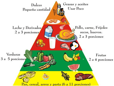 Valor energético de los alimentos | TODOesQUIMICA Valor energético de los alimentos | TODOesQUIMICA