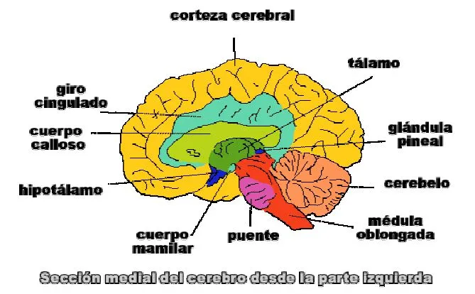 enero | 2012 | | Página 21